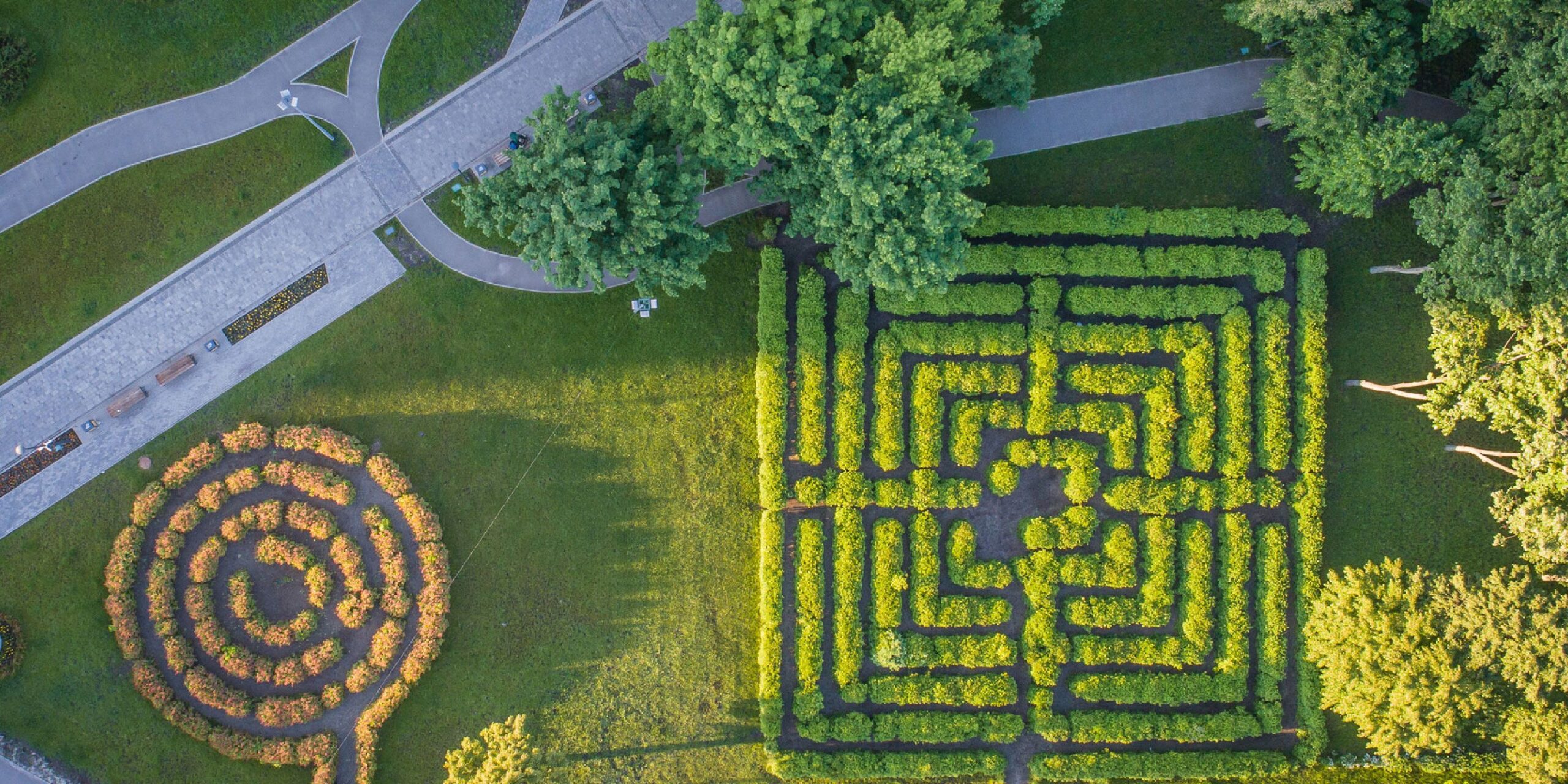 Generative AI in Insurance
